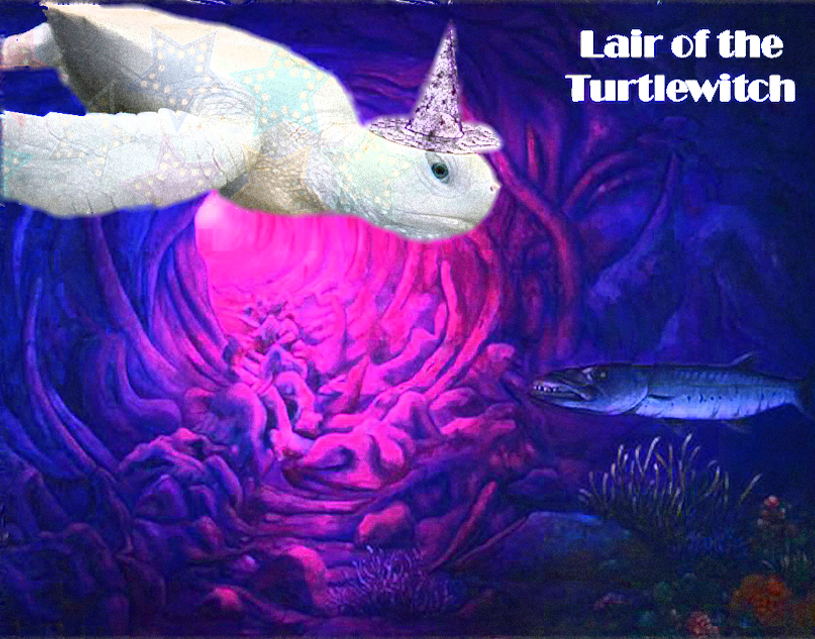 Lair of the Turtlewitch